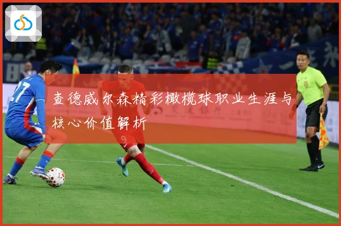 查德威尔森精彩橄榄球职业生涯与核心价值解析